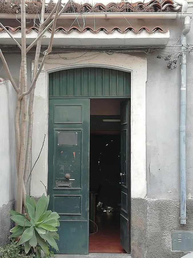 Economic Room Катания